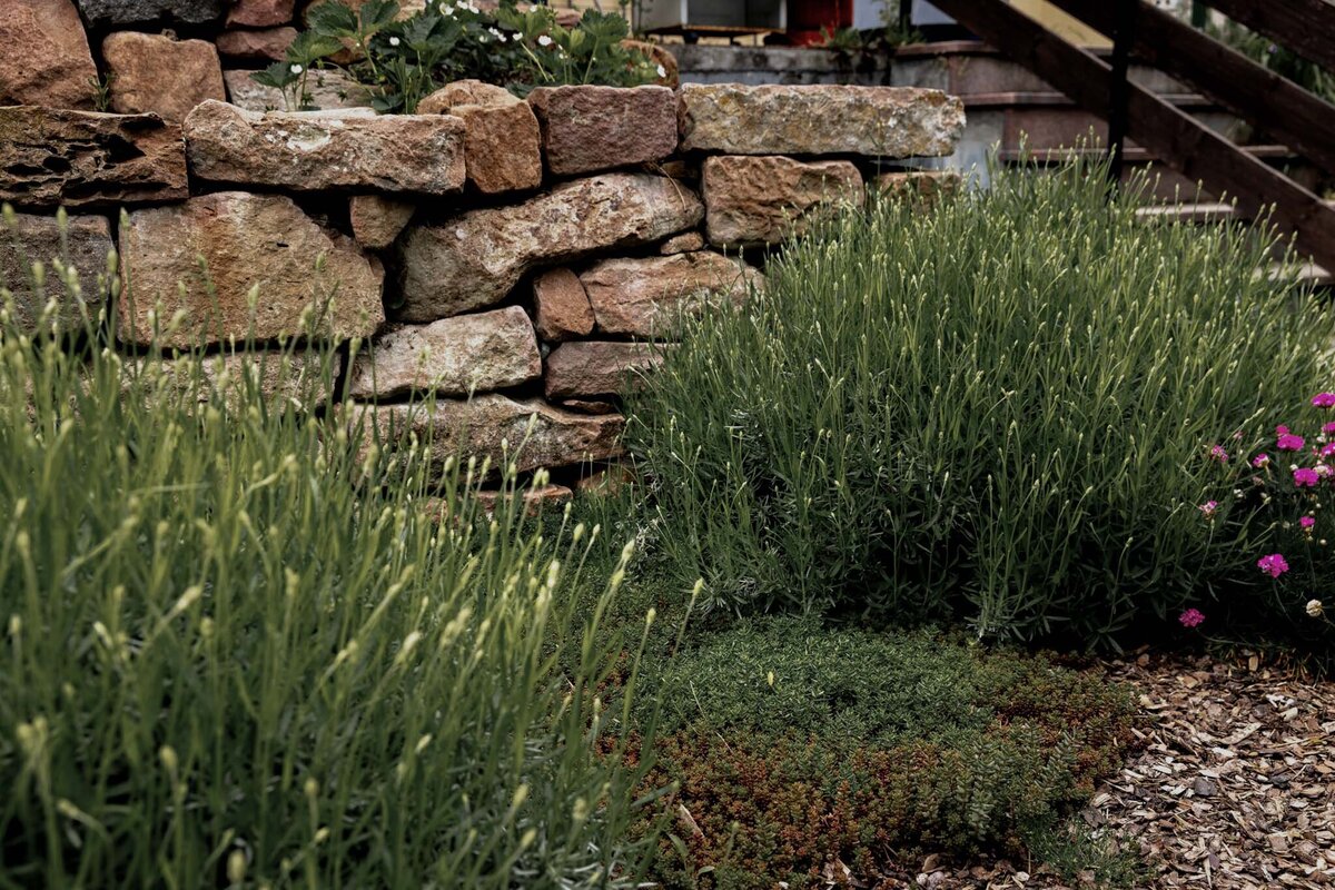 Der Gartenpate-3