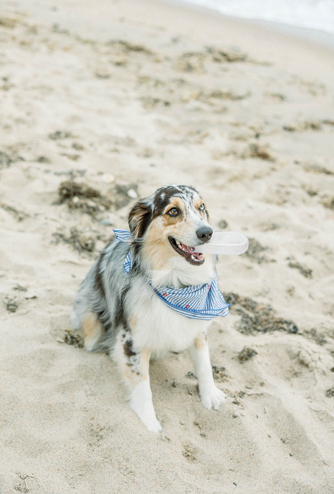 block island rhode island wedding-5016
