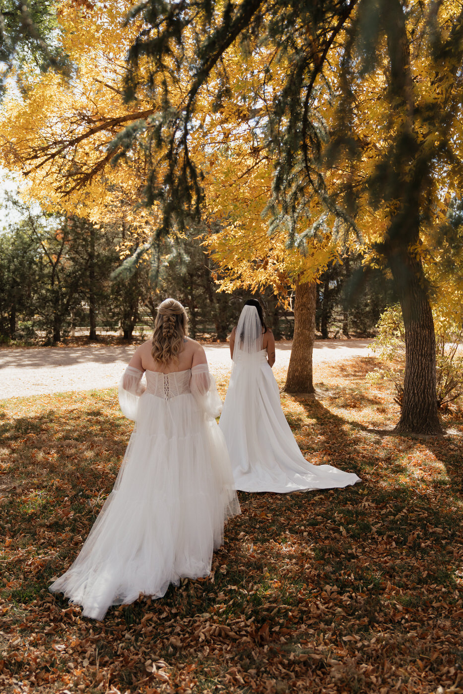 michigan-wedding-photographer