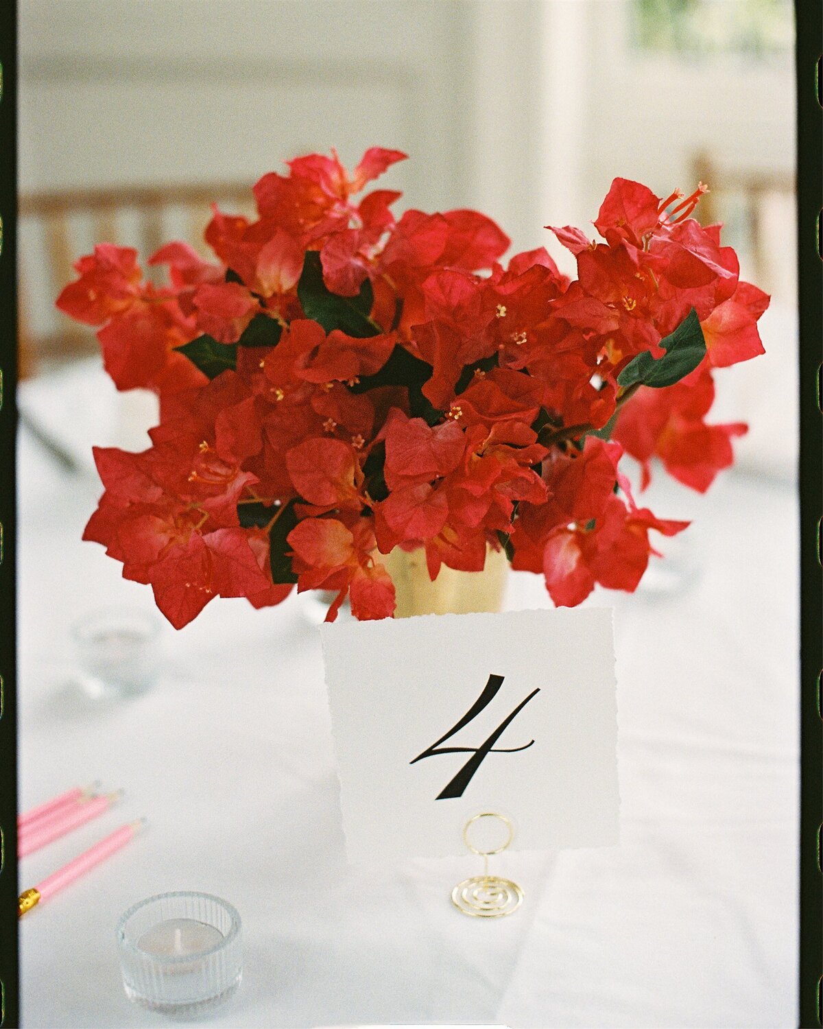 ReaAlec_0431