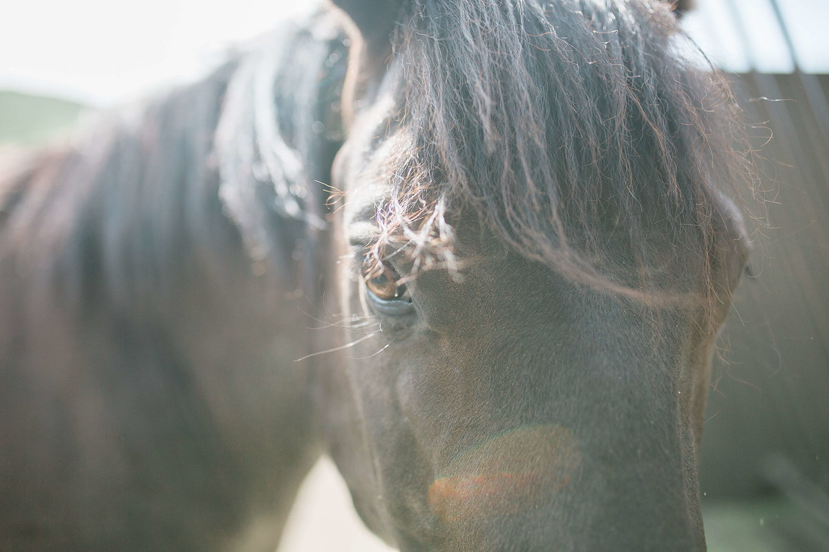 MaraeEvents-BlueSkyRanch-GabriellaSantosPhotography-23