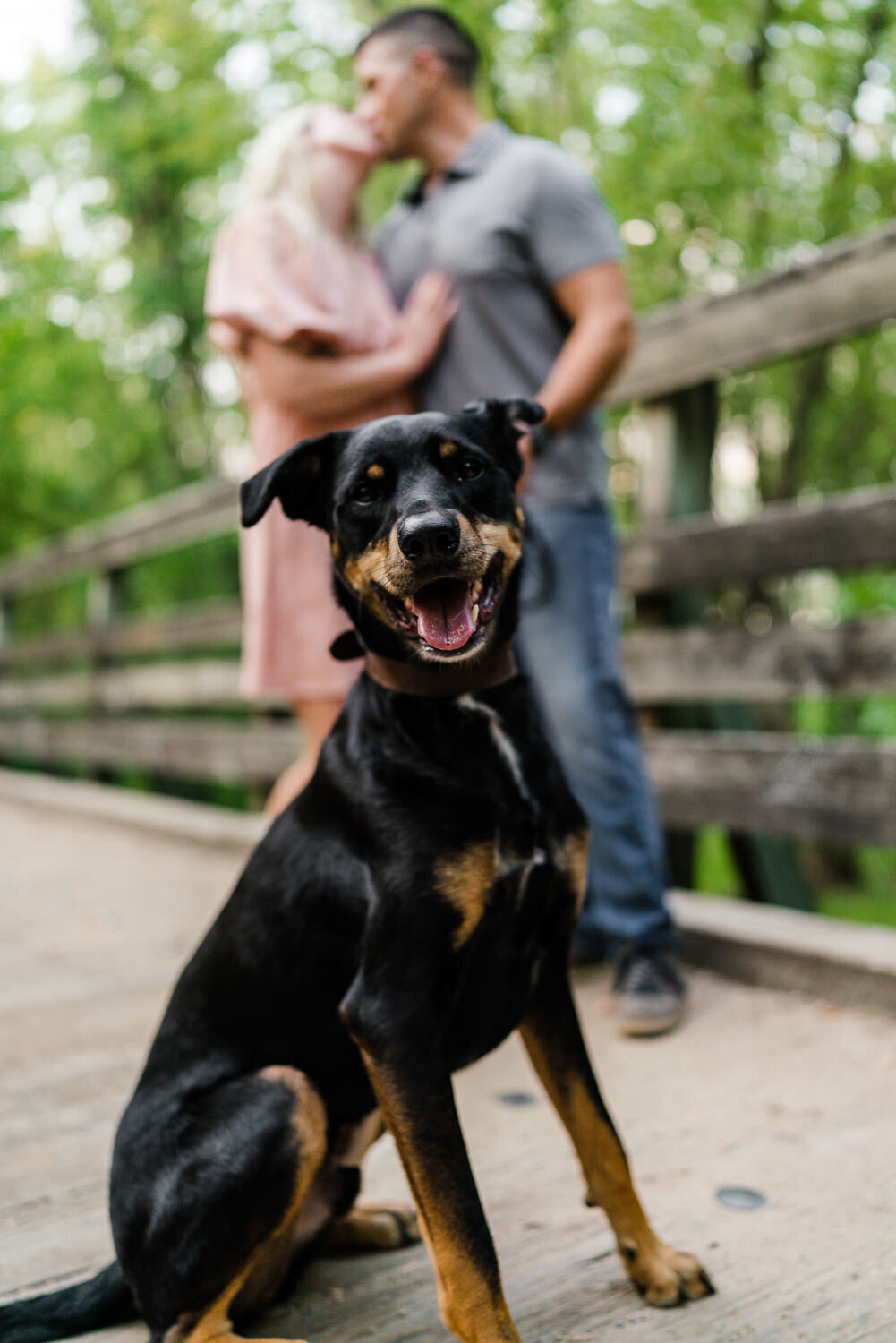 Man and woman kiss in front of their Doberman.