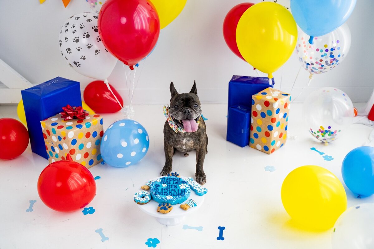 Francisco11-2236jcollins