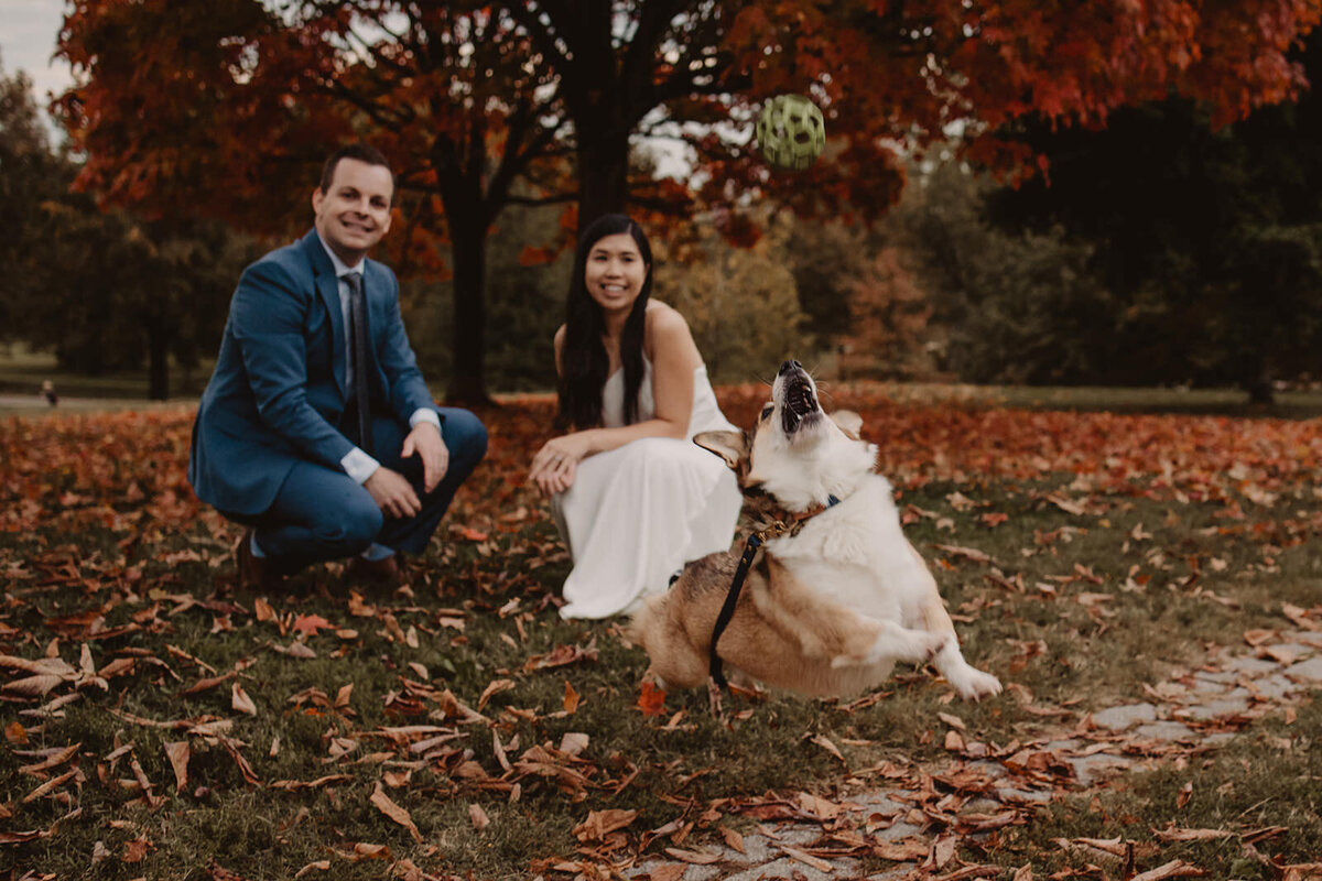 newlyweds crouching down and smiling at their dog in front of them 