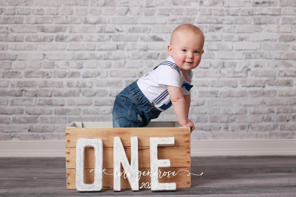 lehigh-valley-photographer-lori-generose-lg-photography-first-birthday-boy-nazareth-pa