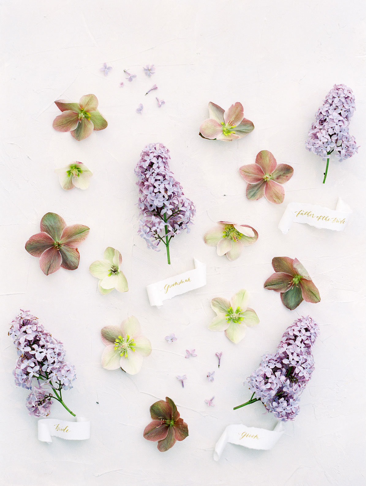 Lilac10 copy