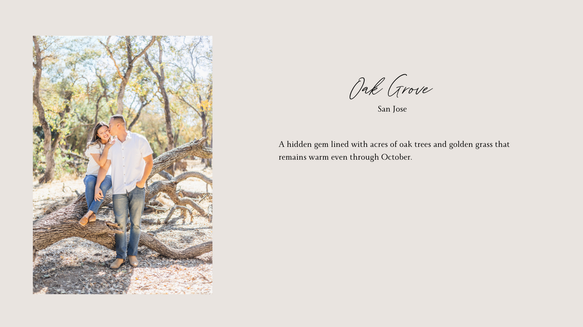 San Jose Couple Session, San Jose Family Session, San Jose parks