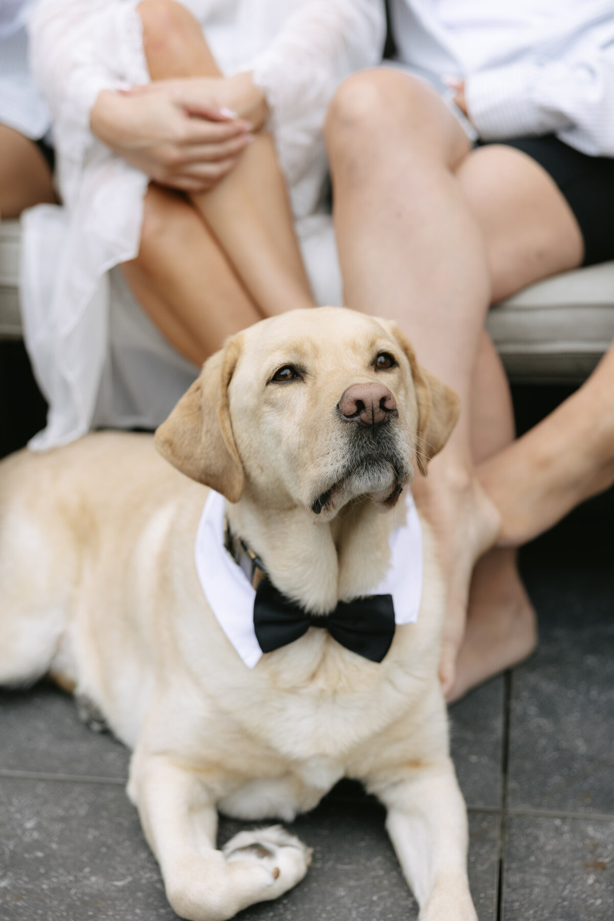 AveryPhillipsPhoto-Morgan+Dominic-DetroitInstituteofArtsWedding-41