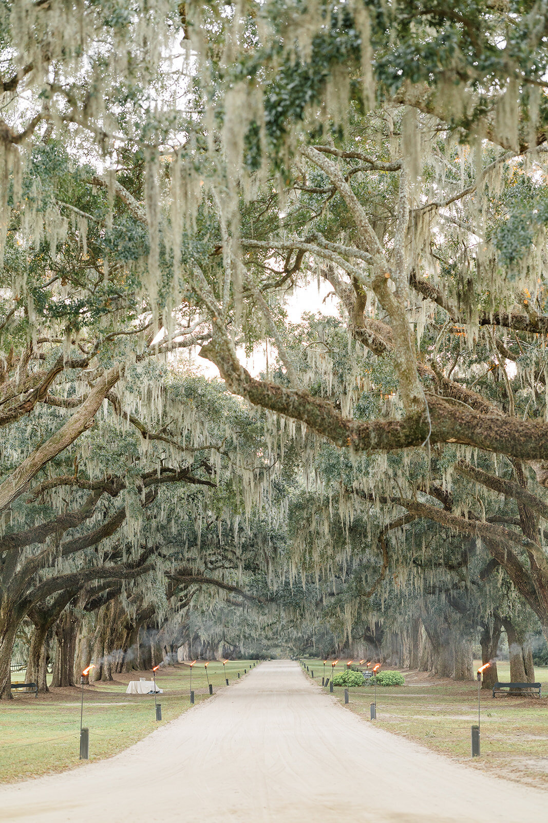 Boone Hall-7360