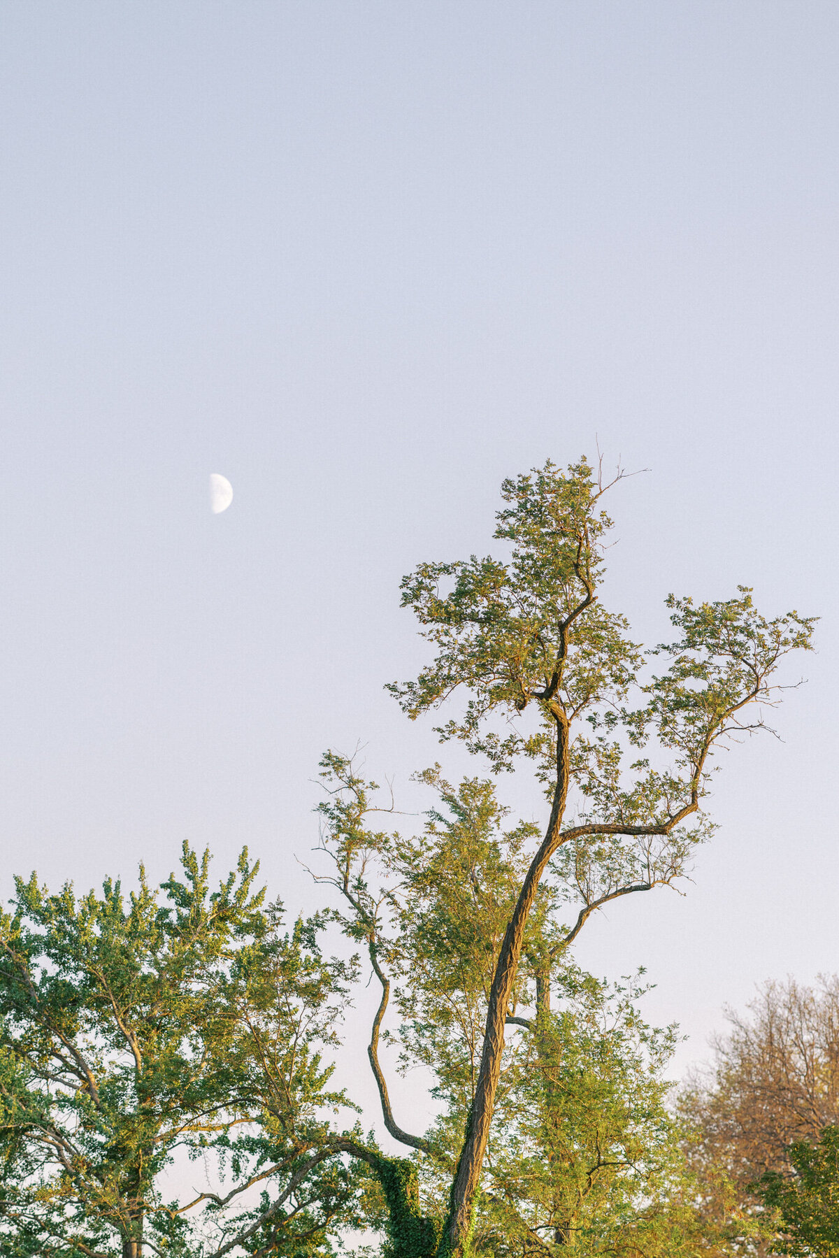 mailys-fortune-photography-destination-wedding-photographer-chateau-tourreau-provence-156