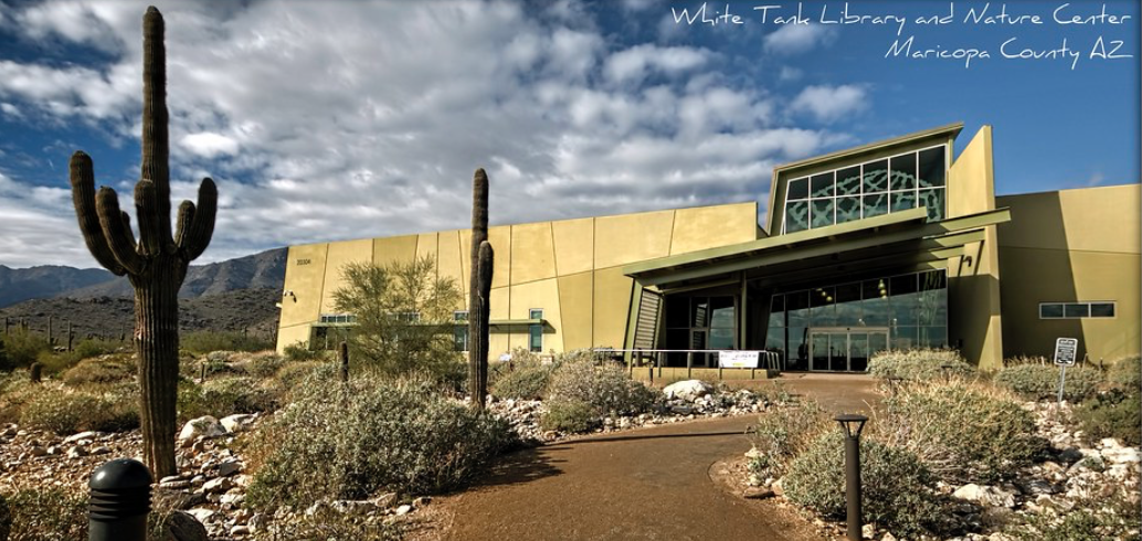 best realtor waddell az