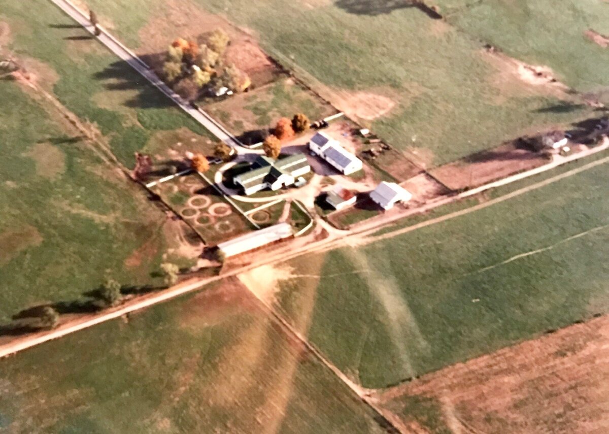 7G Crop Circles