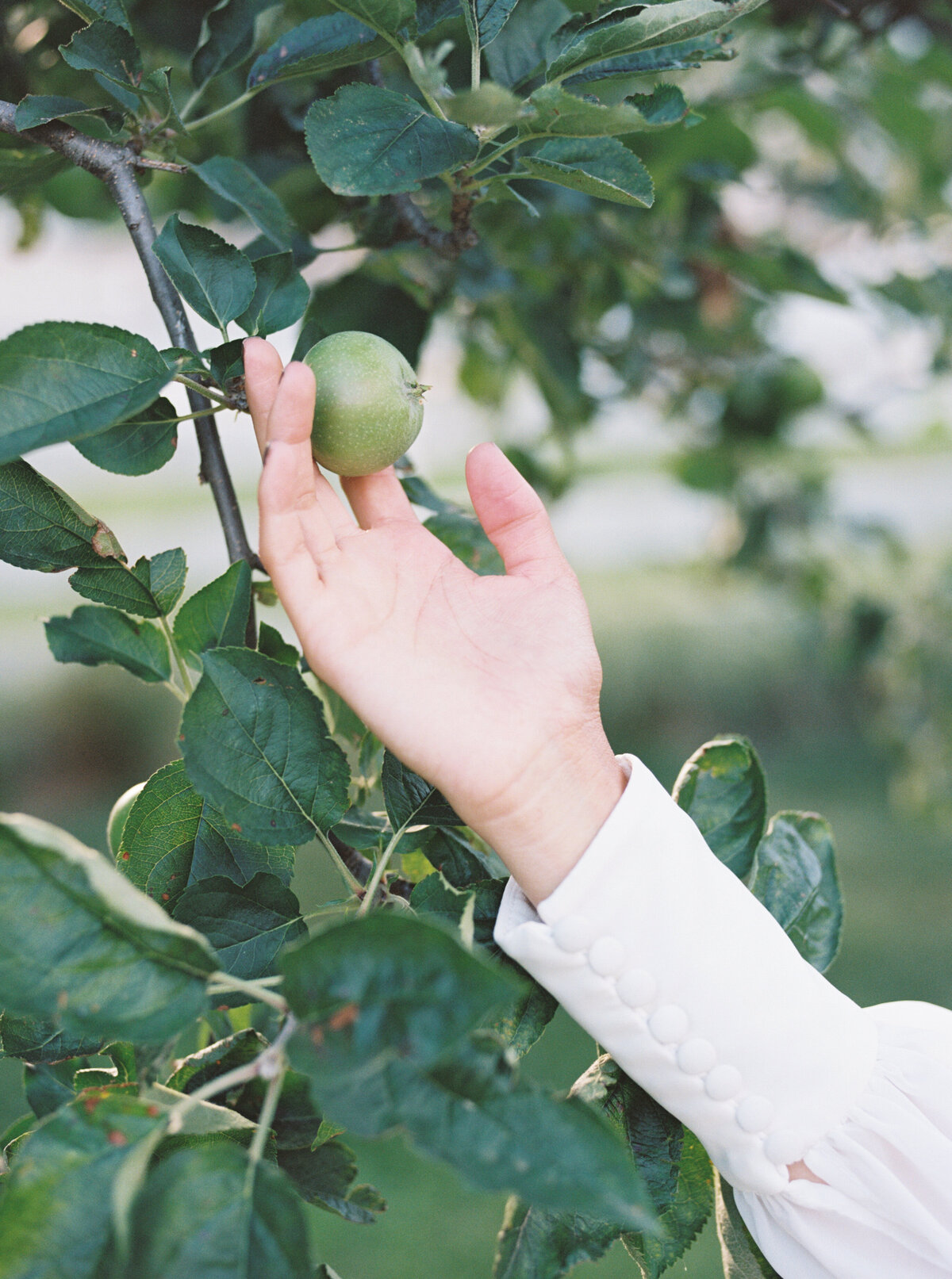 Michela Watson Photography Michela Brooke Photography Modern Garden Wedding Old World Dress Flower Farm Romantic Blue Ridge Mountains Natural Organic Timeless-72