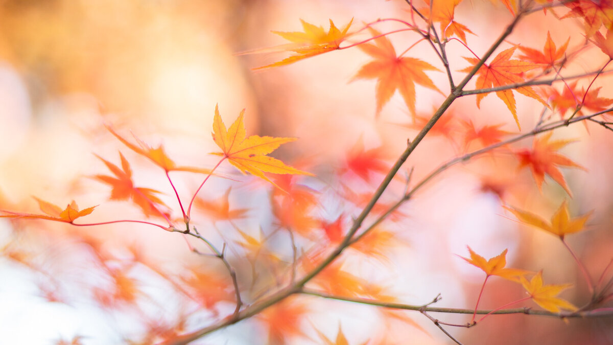 fine_art_photographer _113