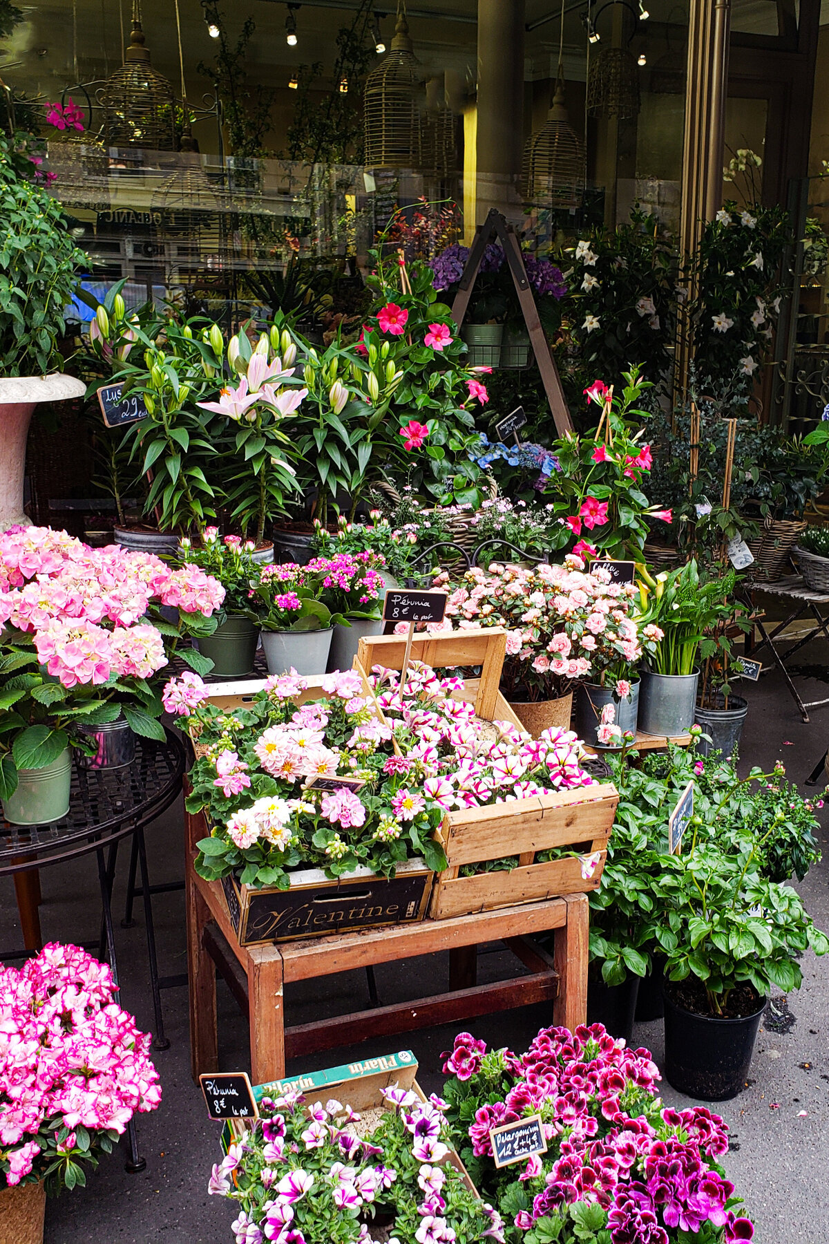 Exterior of Floral Shop in Paris, France