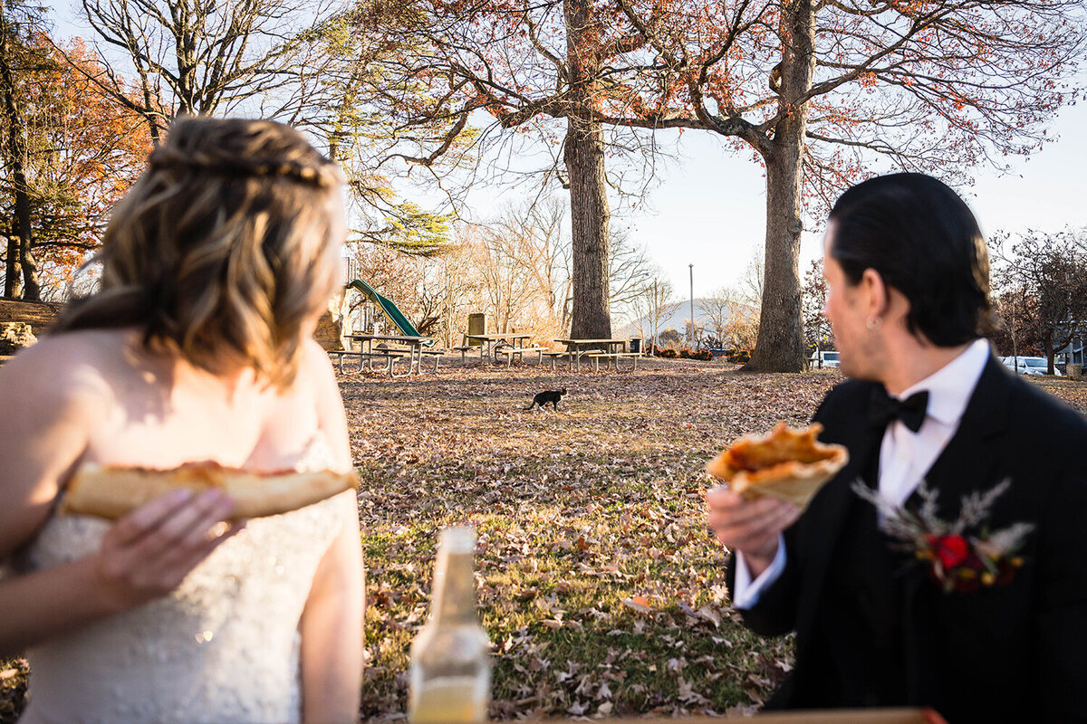 A bride and groom look over their shoulder as they hold a slice of pizza each and observe a cat walking around the playground at the park at Mill Mountain.