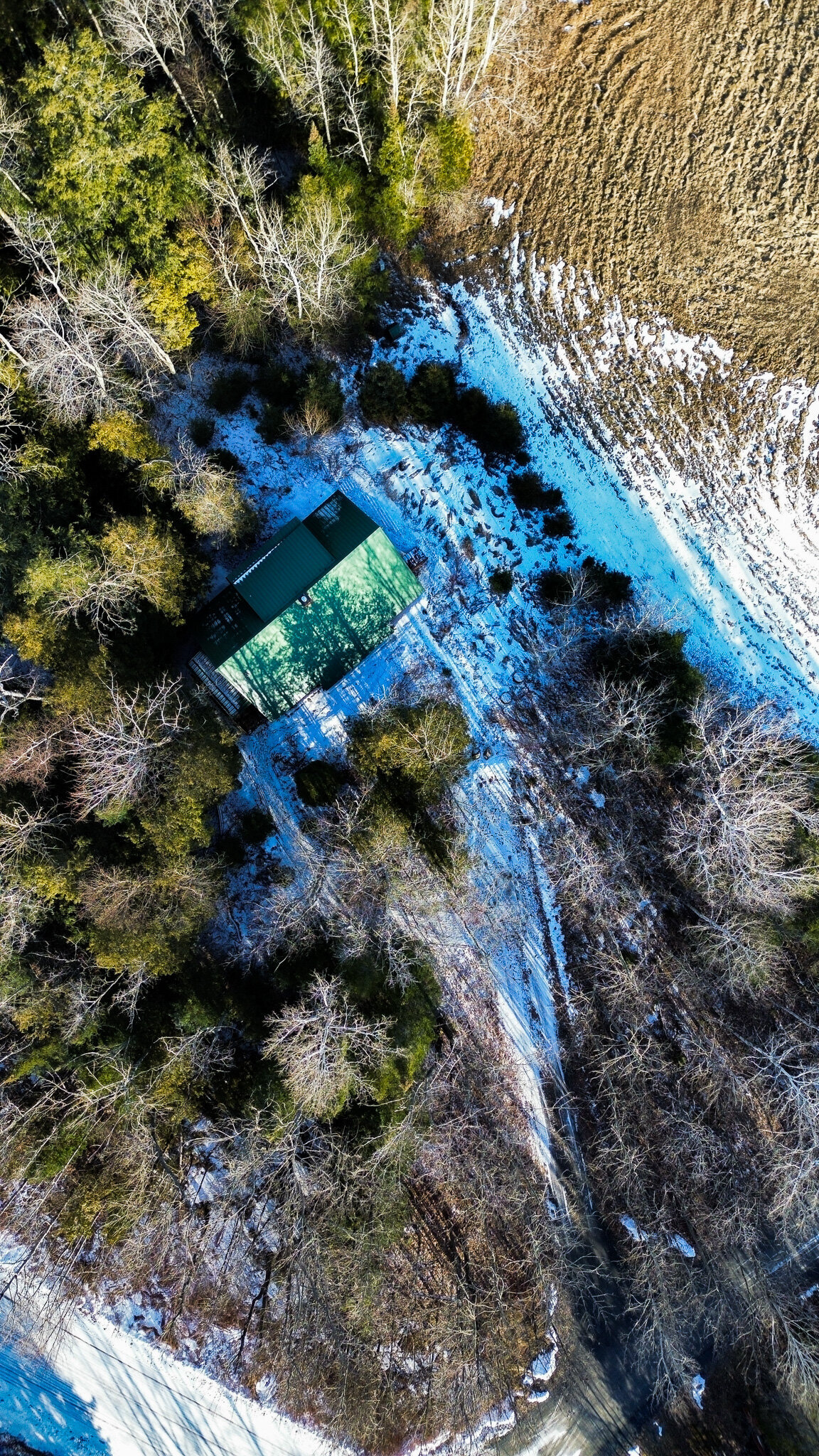 dji_fly_20240223_061908_410_1708911944961_photo_optimized