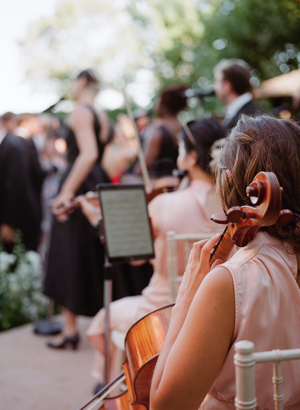meg-smith-napa-wedding-beaulieuu-garden00141
