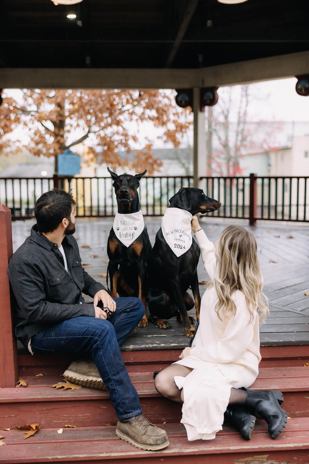 Couple sitting on steps with two dogs for pregancy announcement photos