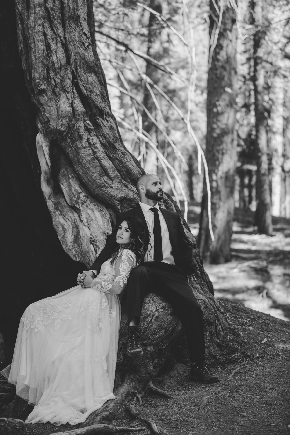 Alyssa & Orlando Sequoia Elopement (69 of 170)