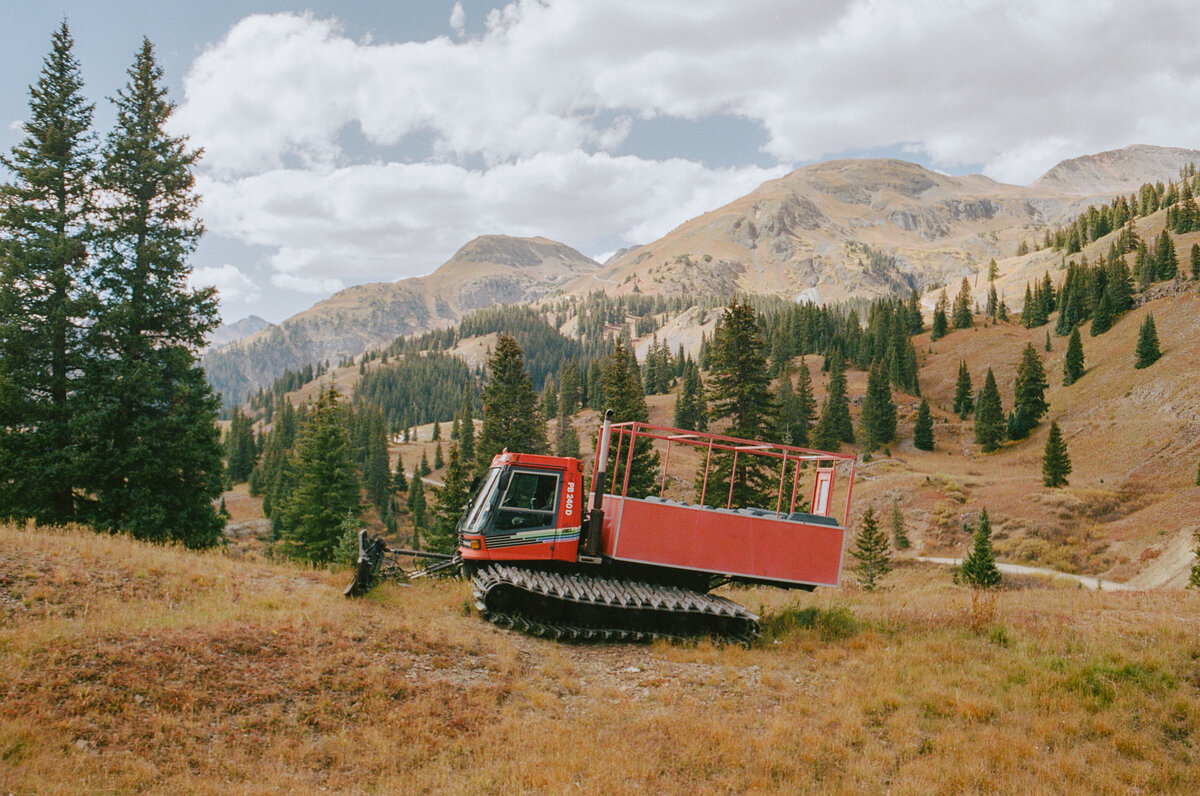 Silverton, Million Dollar Cat 2