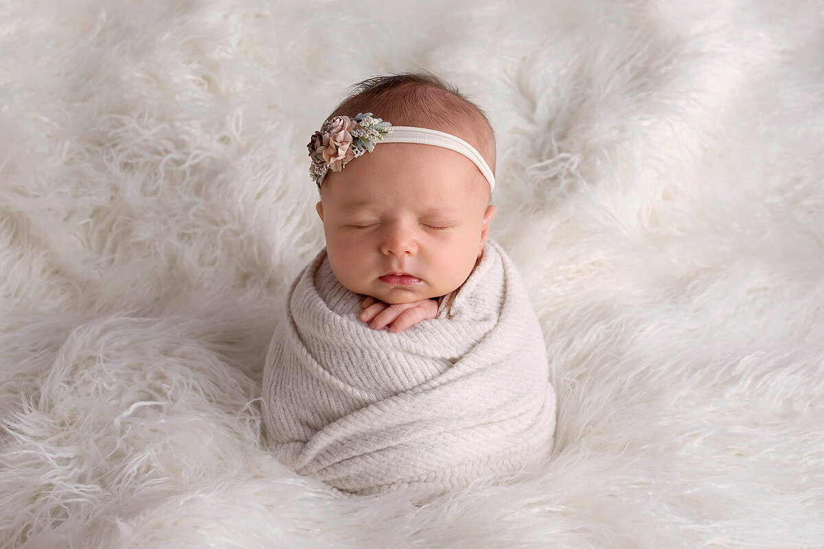 charlottesville va newborn photos