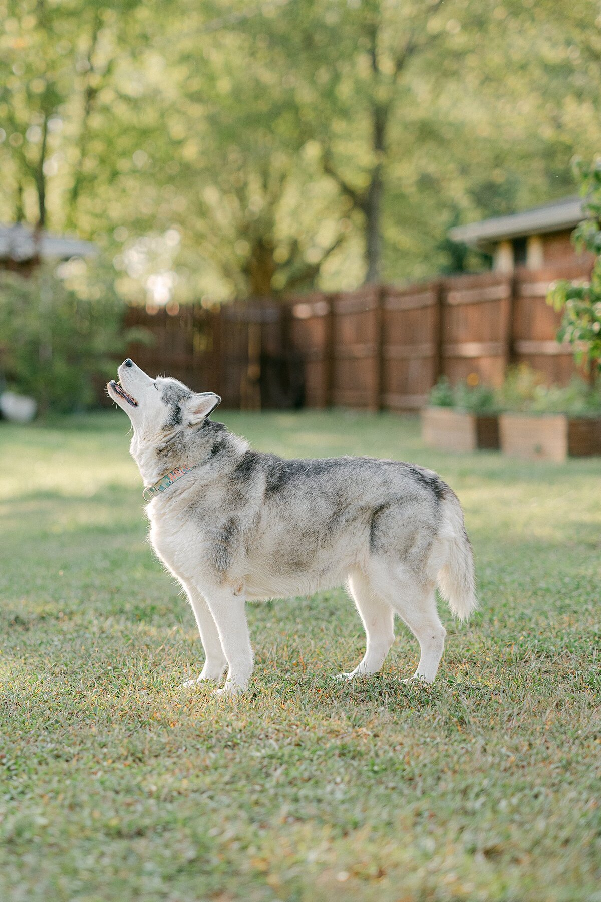 Alison Mae Photography_2236