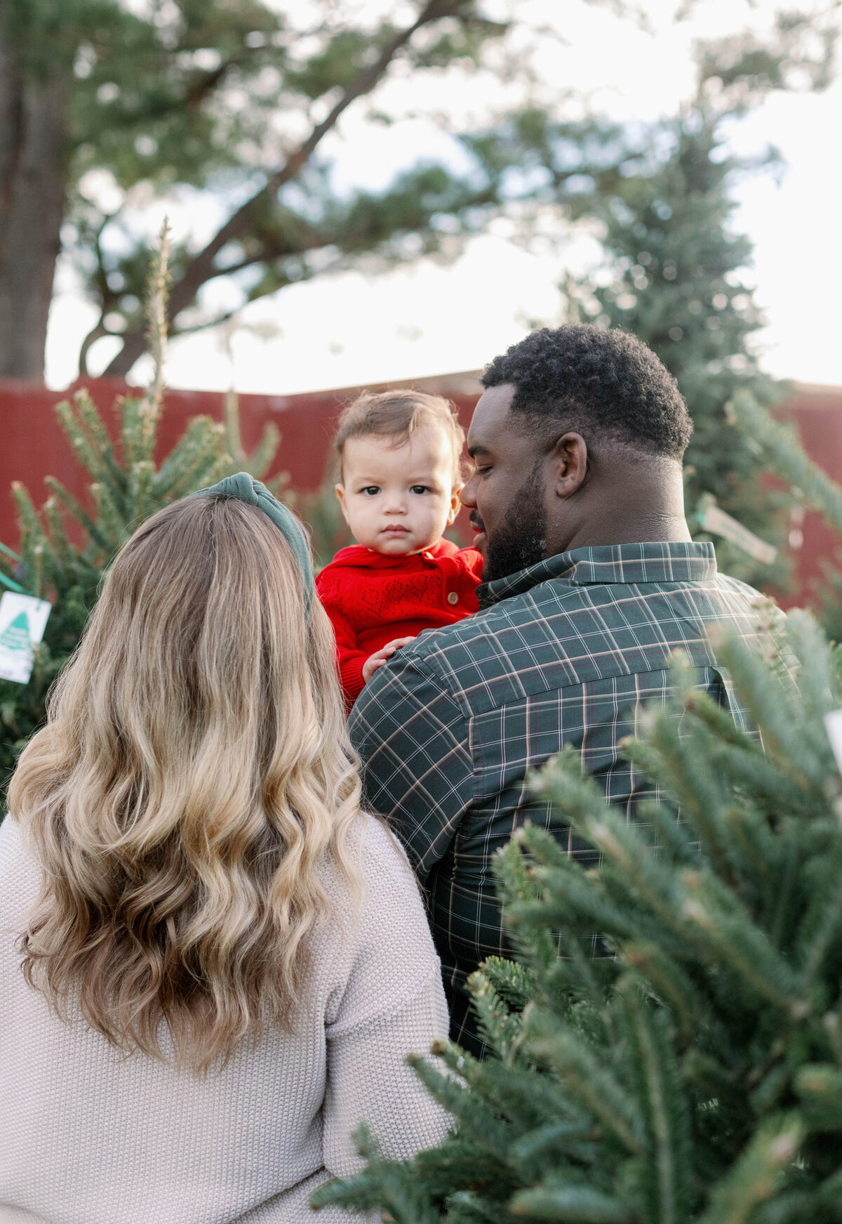 Christmas family photos in Greenville, NC