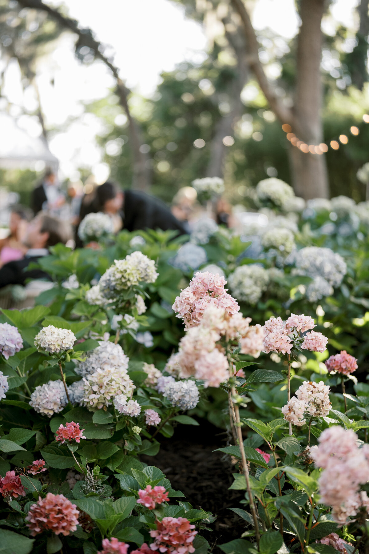 EmilyAnn+WillWedding-1522