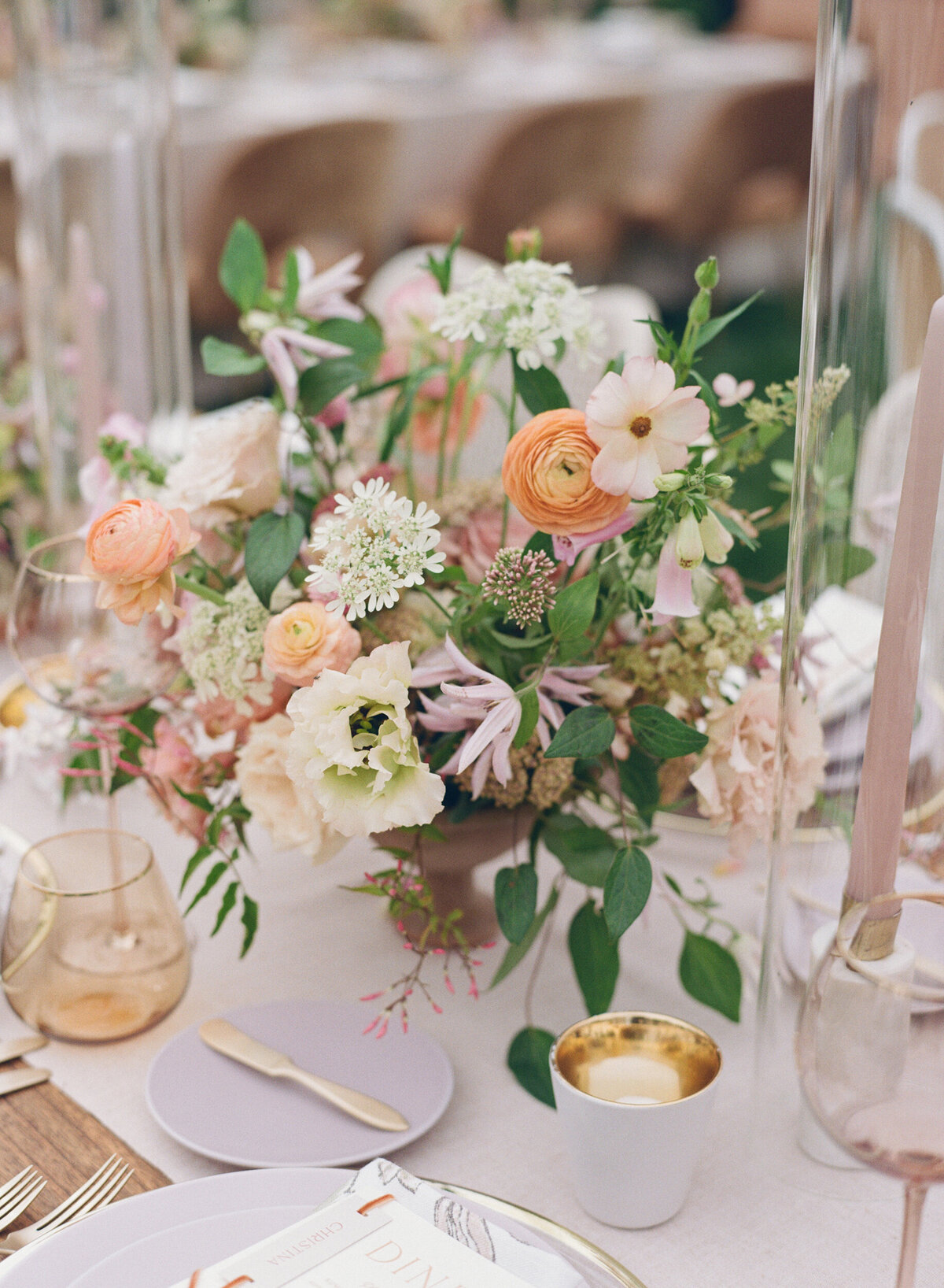 highlights_044