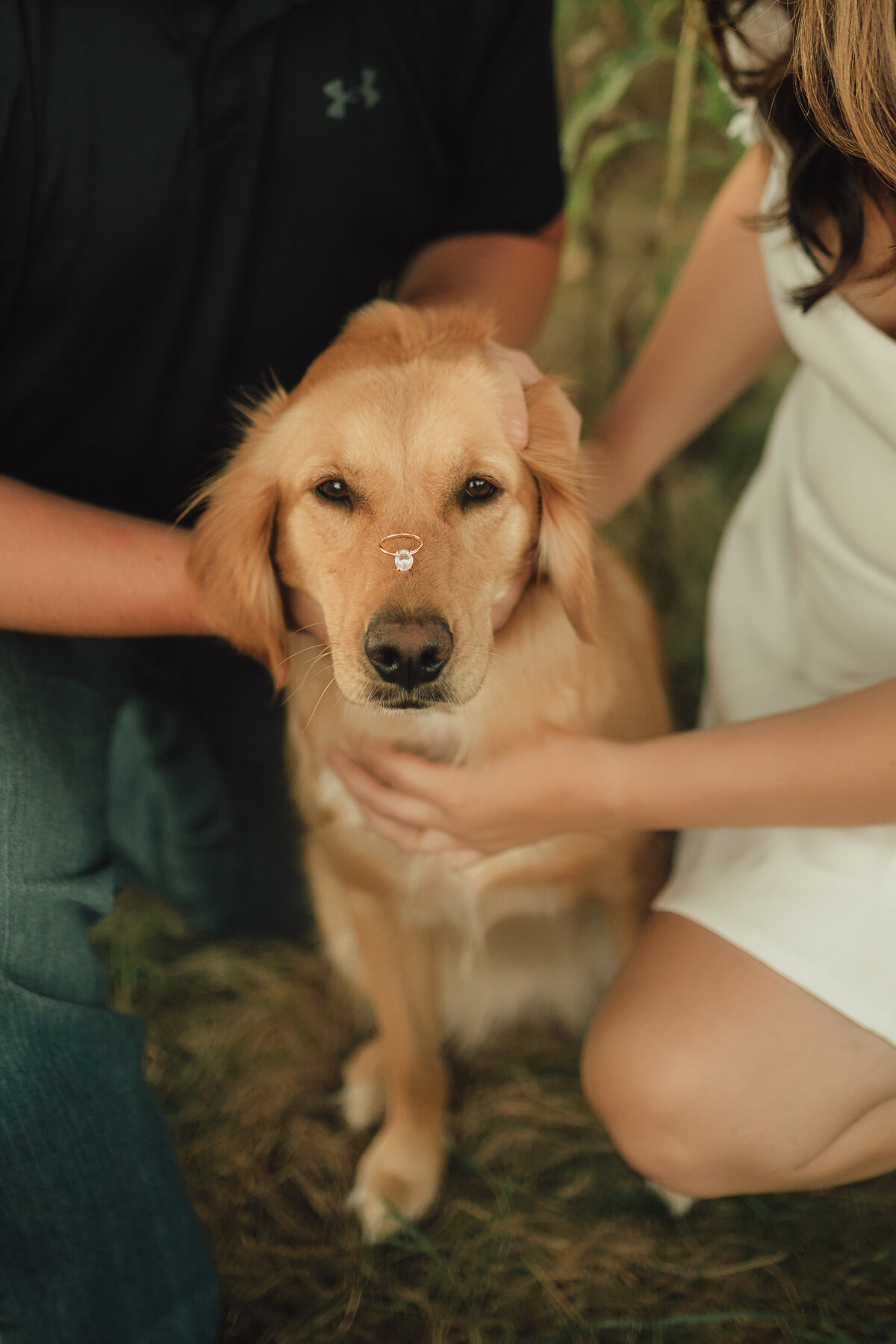 OLIVESAGEPHOTO-114
