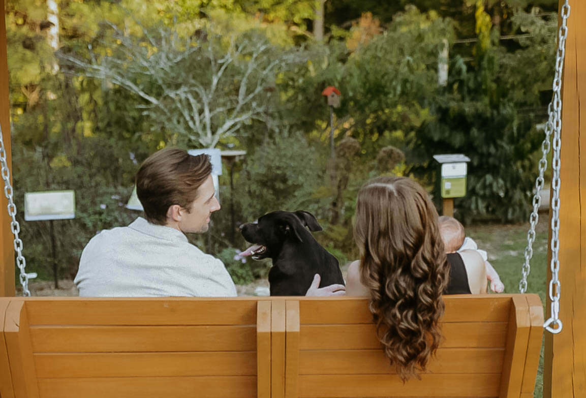 family and pet session, north georgia, kattie jackson photography