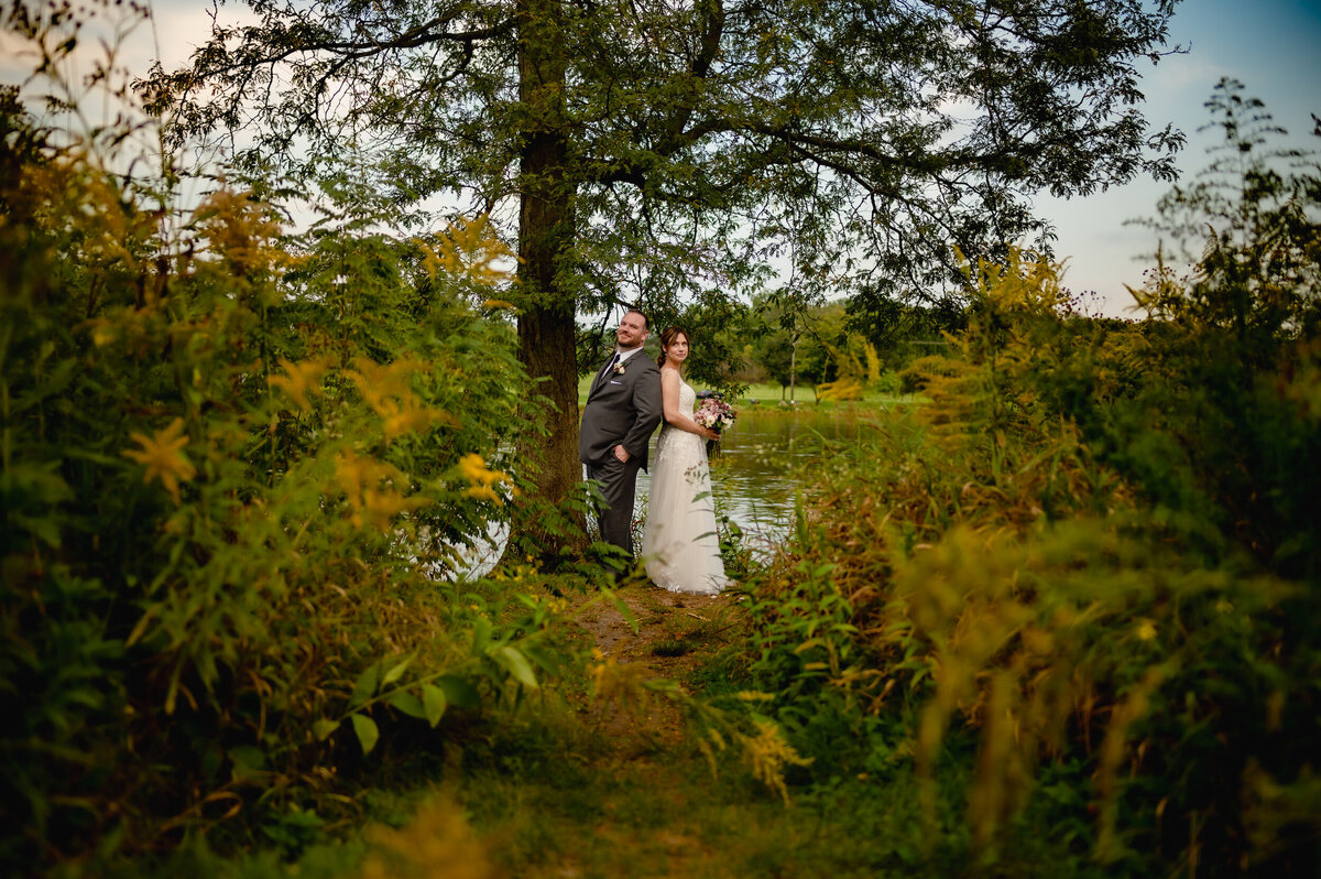 A bride and groom stand next to a tree at a park in Naperville, Illinois
