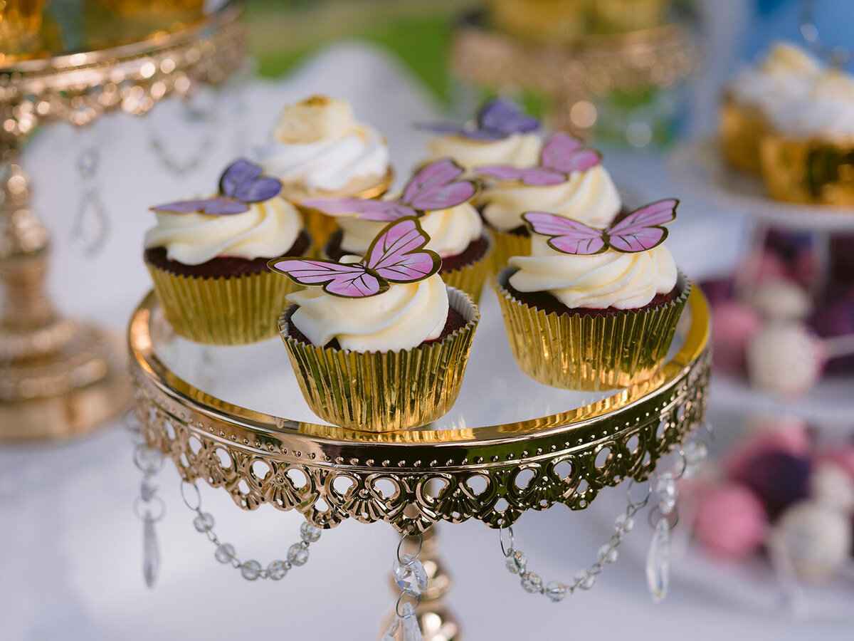 san-francisco-first-birthday-butterfly-cupcakes-photo