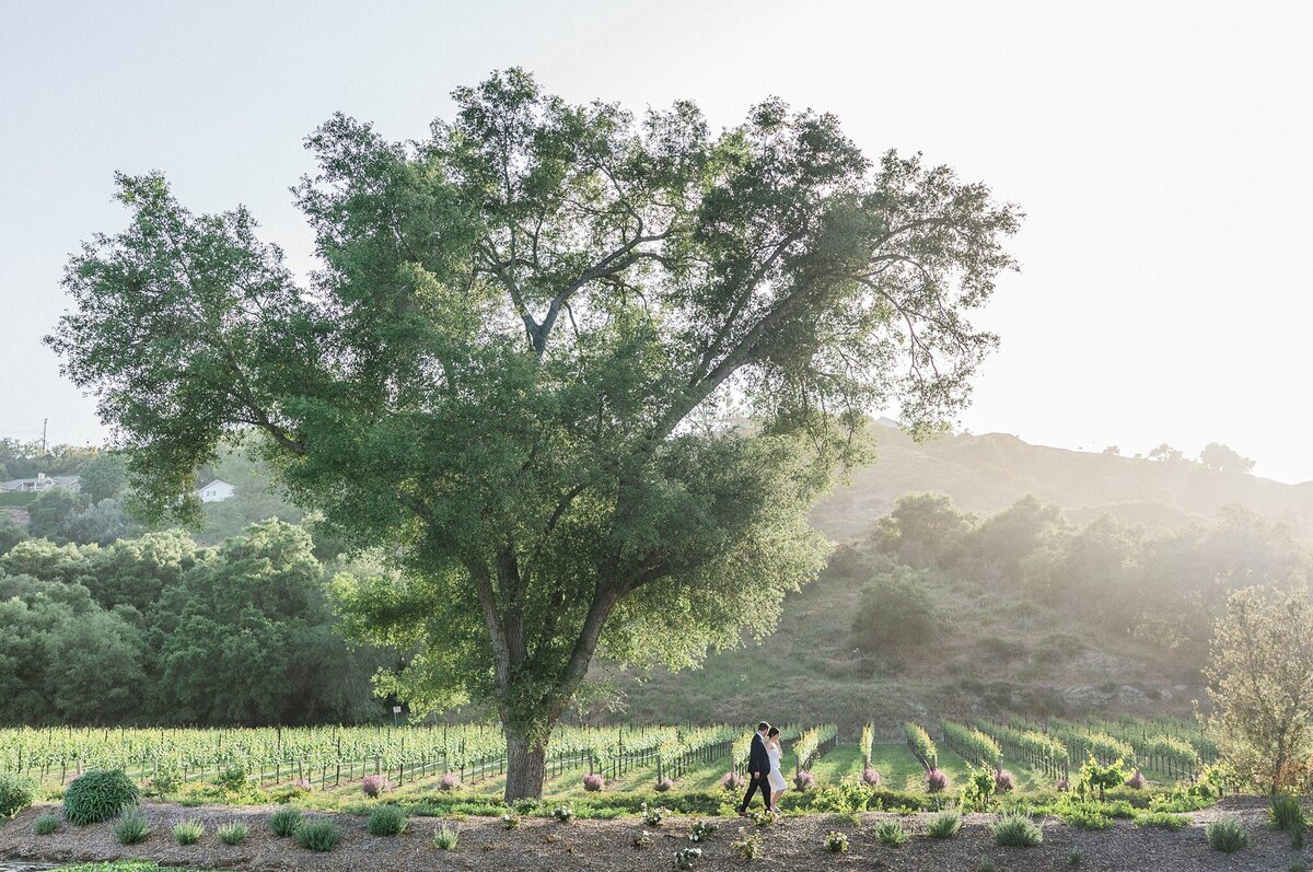 FallbrookWeddingPhotographer_AmyHuangPhotography_00010