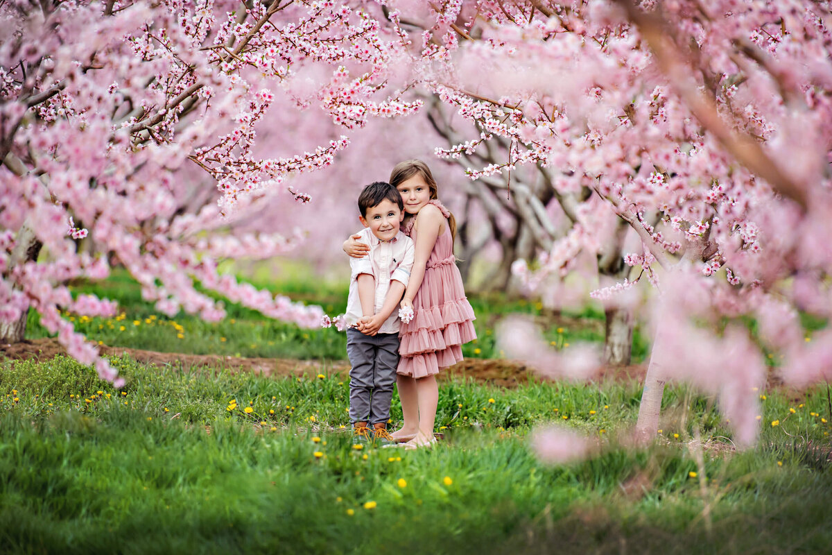 brother and sister wearing pink in a pink cherry blossom field for their family photography session in Burlington, Ontario