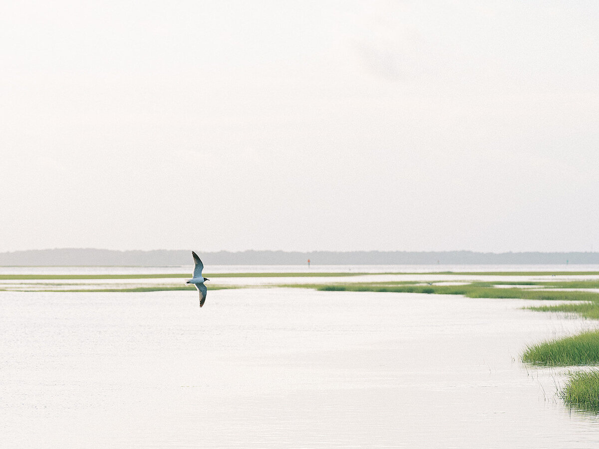 A&A_AmeliaIsland_WelcomePatry-324