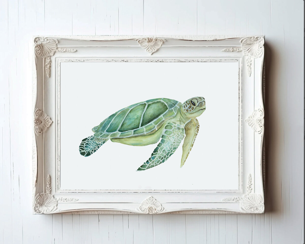 seaturtle45