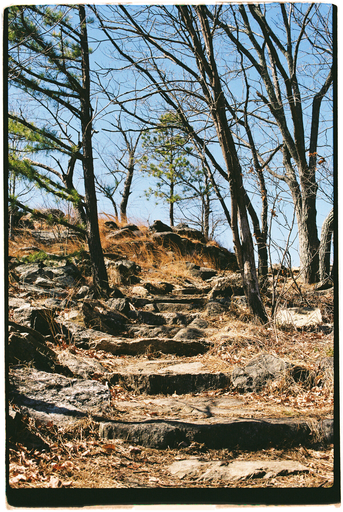 cold-spring-new-york-jamie-shields-photography-3