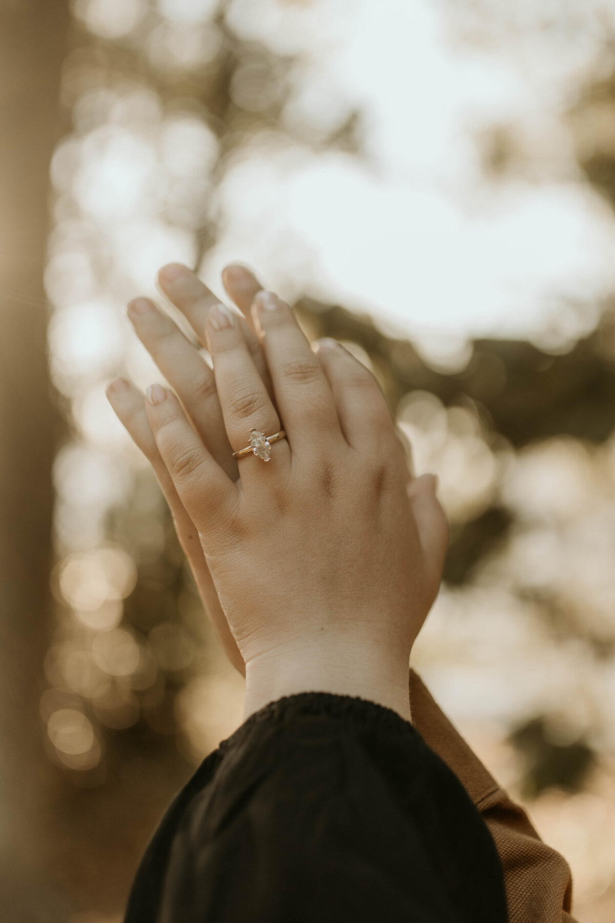 b&g_engagements-27