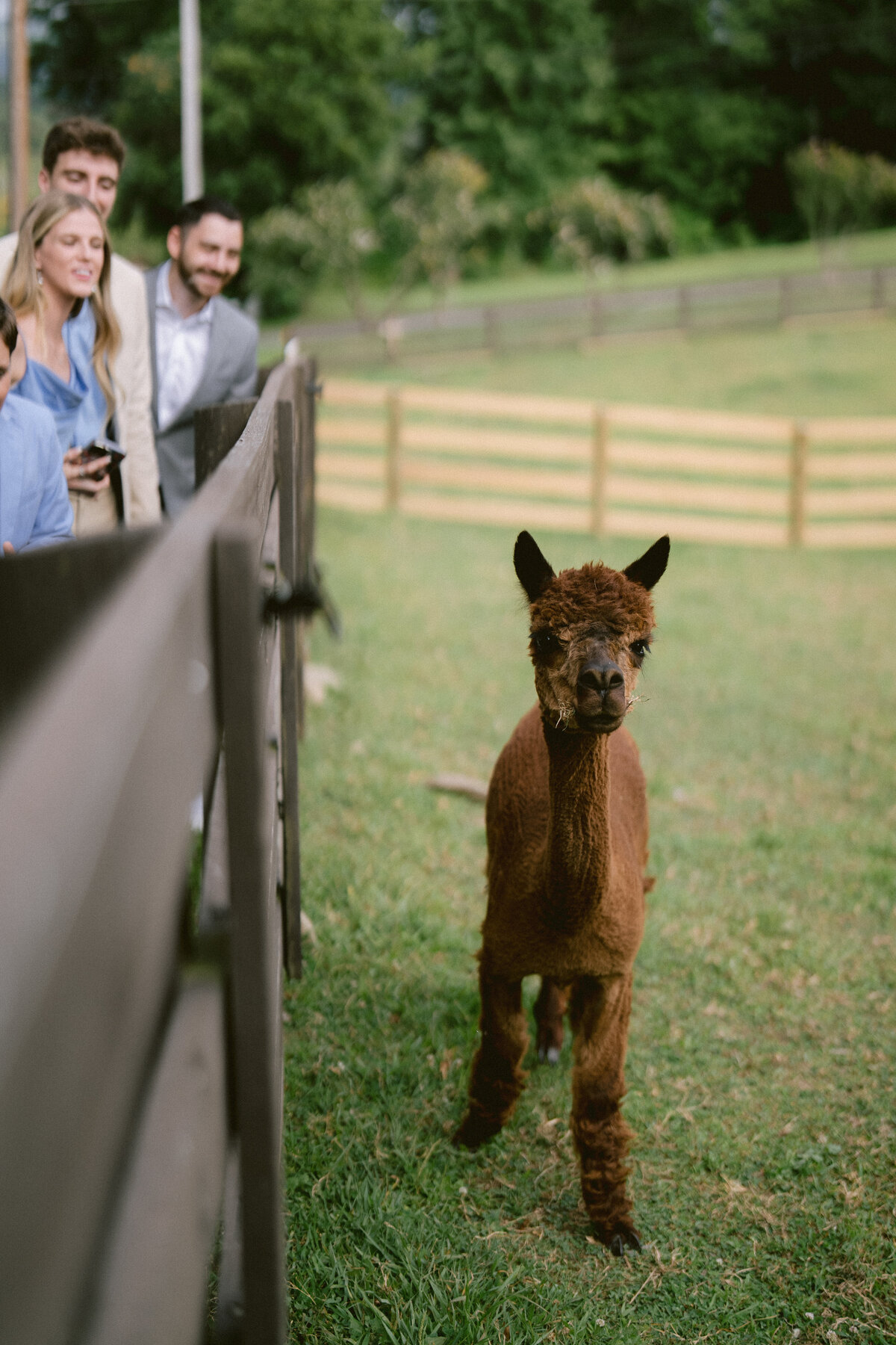 Summer Wedding in Marlboro, New York_107