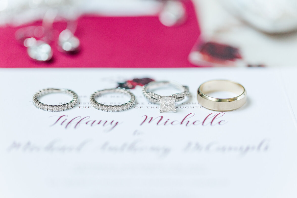 Michael_and_Tiffany_Married_Windows_on_the_Water_at_Frogbridge-11