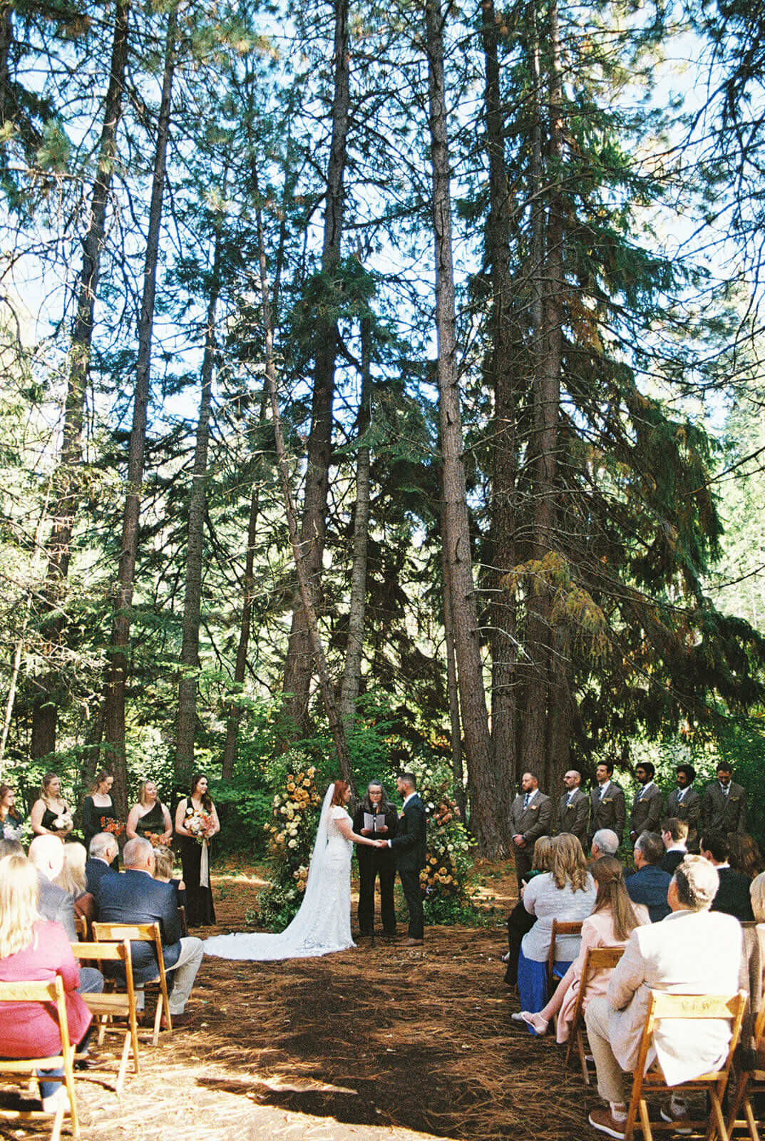 A wedding ceremony outside under tall trees at Suttle Lake Lodge.
