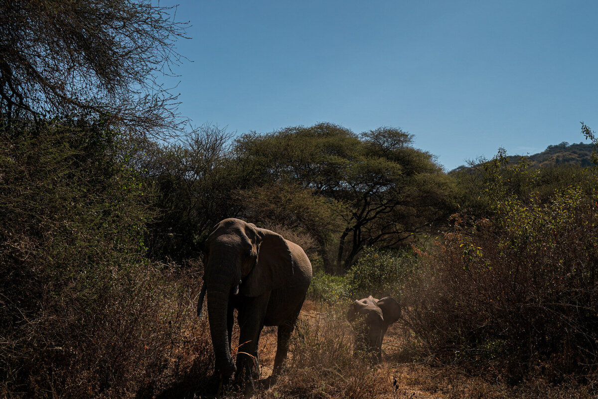 luxury-vacation-photographer-kirsten-lewis-arusha-tanzania013