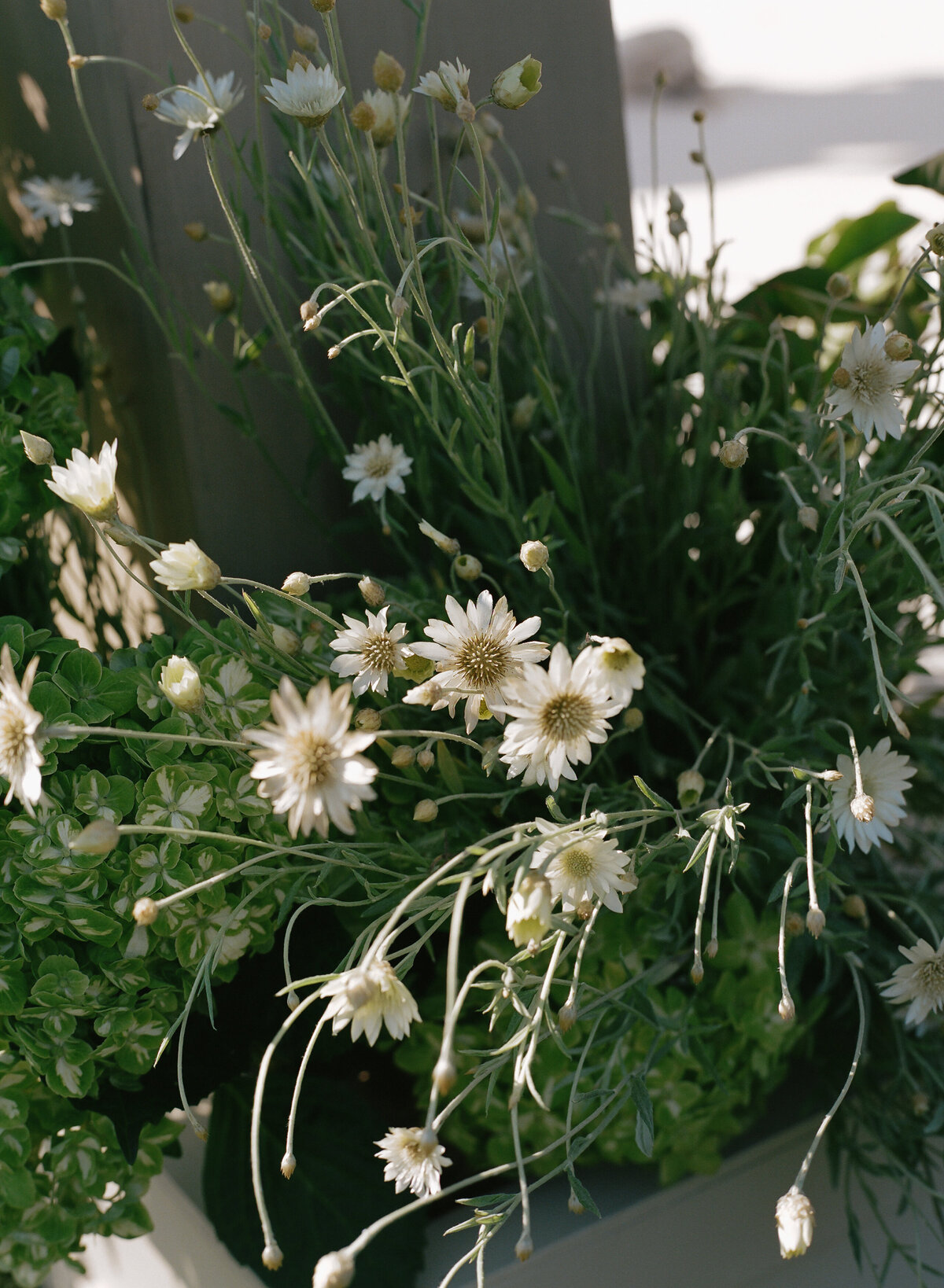 DT-2025-Kelcie&StevenPreview-30