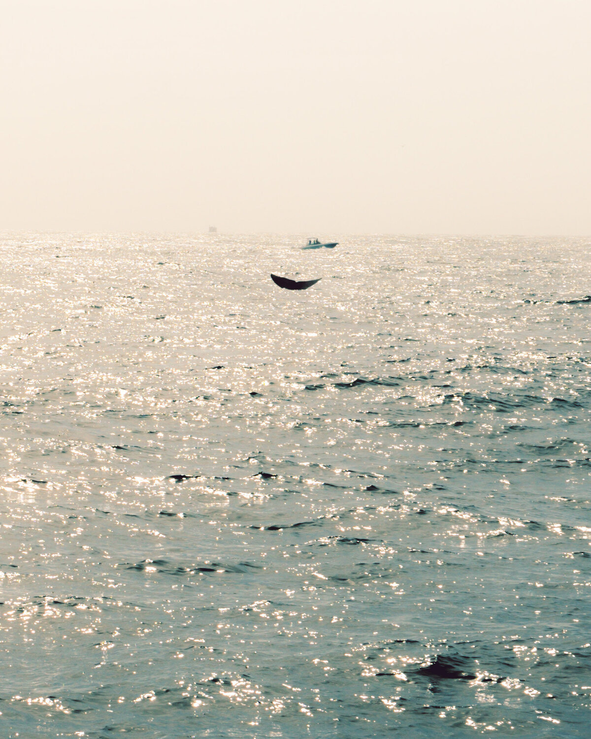 KEB_4519