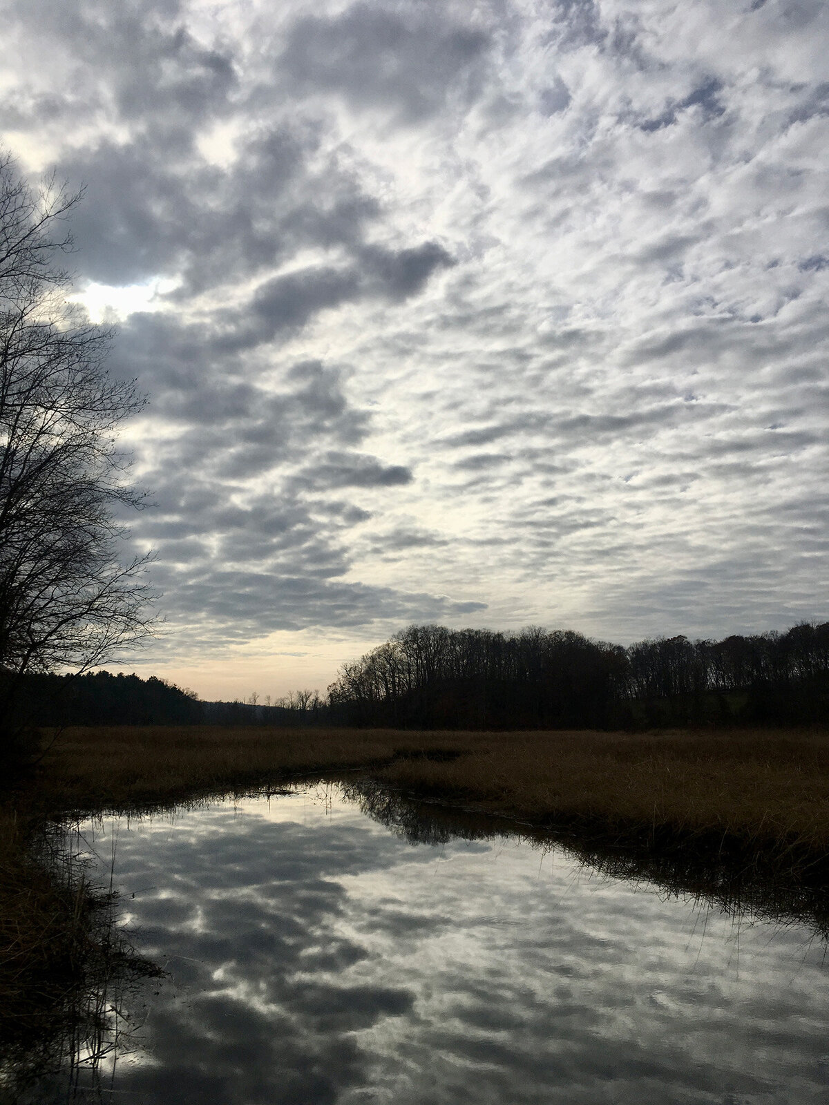 CCC_Estuary_27