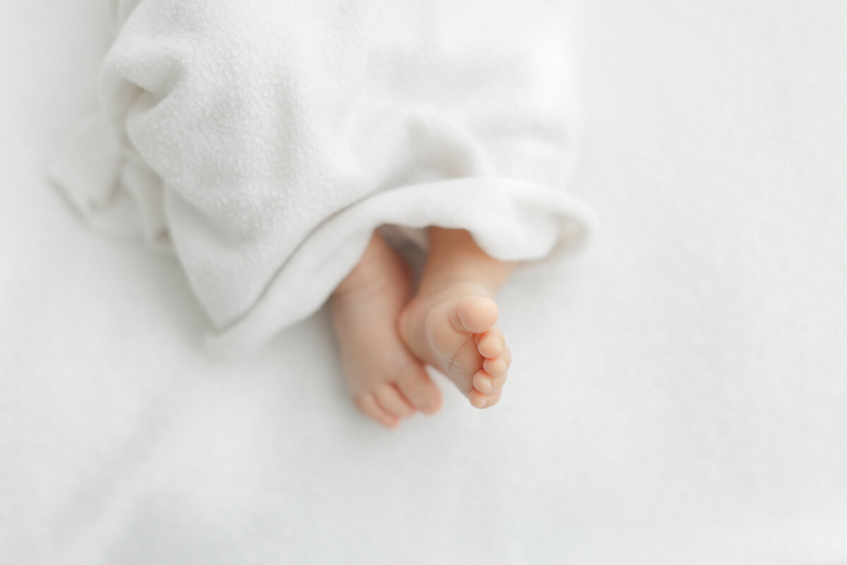 Philadelphia newborn portraits - 2