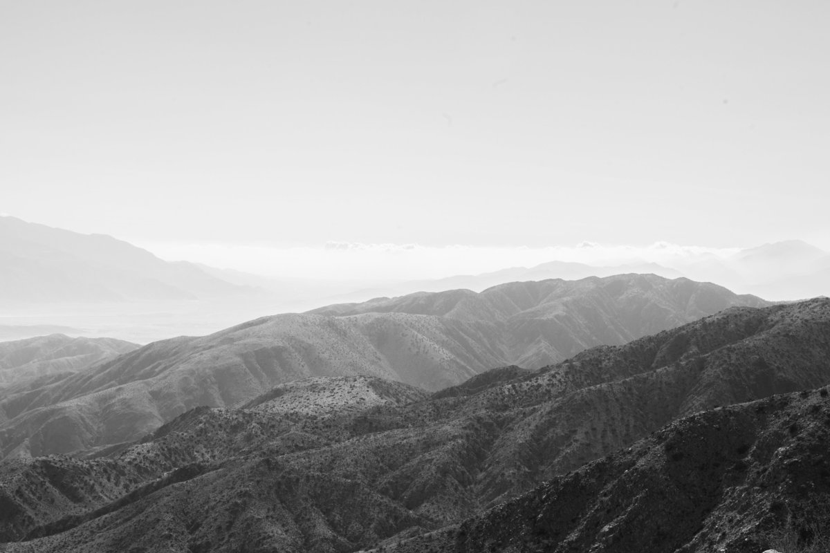 150708_150708 joshua tree_0339
