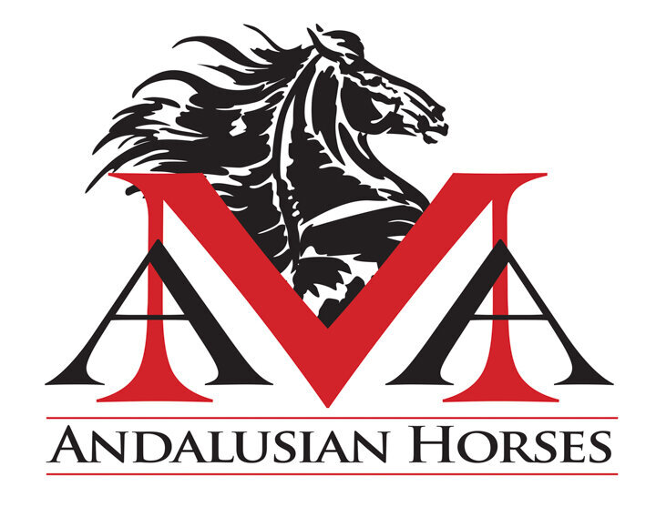 custom logo design horse